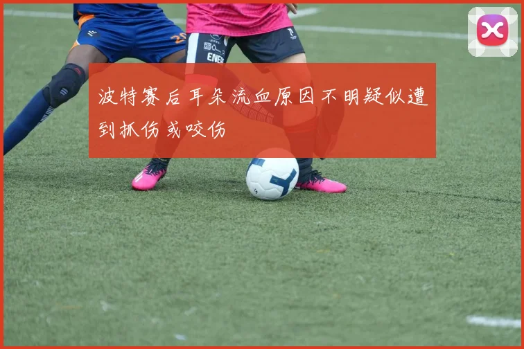 波特赛后耳朵流血原因不明疑似遭到抓伤或咬伤