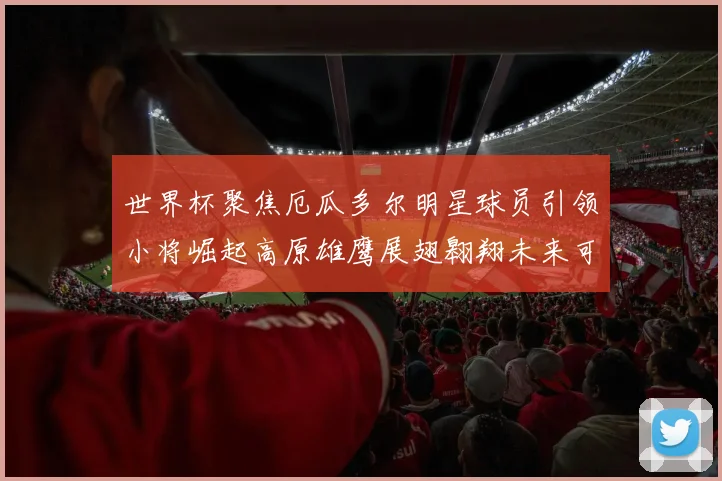 世界杯聚焦厄瓜多尔明星球员引领小将崛起高原雄鹰展翅翱翔未来可期